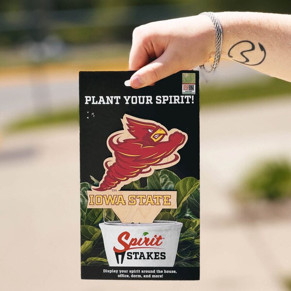Punching Cy Cardinal and Gold Spirit Stakes Medium 7-inch x 5-inch
